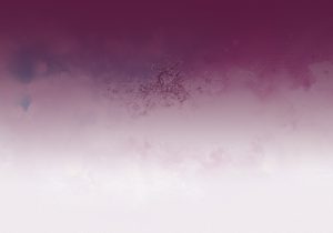 treedigi-bg
